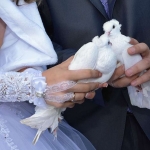 Свадебные приметы для невесты и жениха: что можно, что нельзя